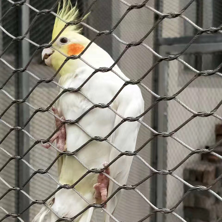 不銹鋼繩網百鳥園網